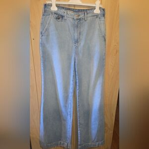Anthropologie Pilcro Wide Leg Jeans Women's Size 30